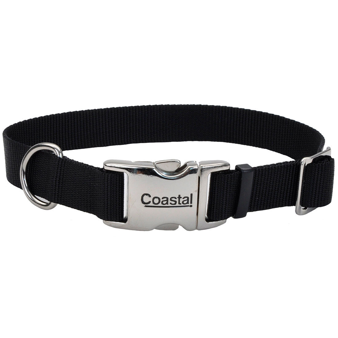 Black dog collar with a silver buckle on a white background