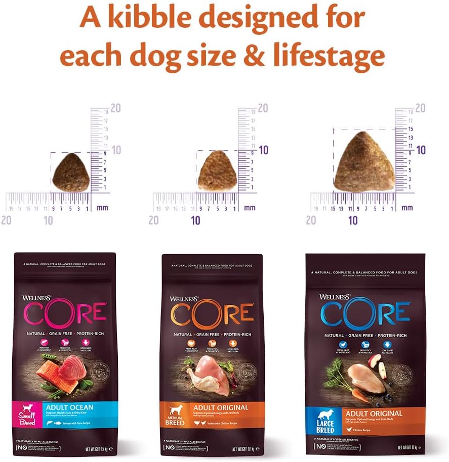Wellness CORE Ocean 10 kg, Salmon & Tuna – Dry Dog Food for Medium to Large Breeds, Grain-Free, Natural, Hypoallergenic, Protein-Rich, High Fish Content, Supports Healthy Skin & Shiny Coat