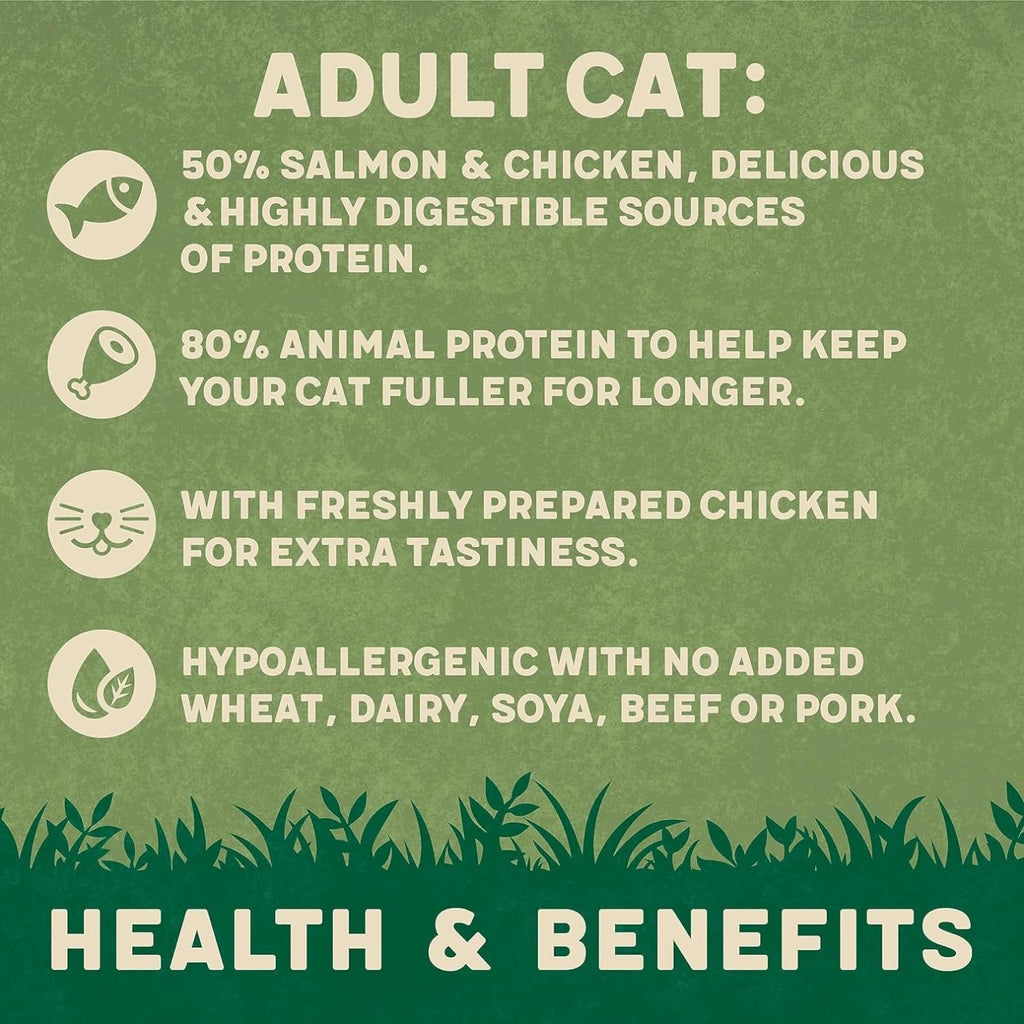 Harringtons Complete Dry Adult Cat Food Salmon 2kg (Pack of 4) - Tasty Natural Goodness