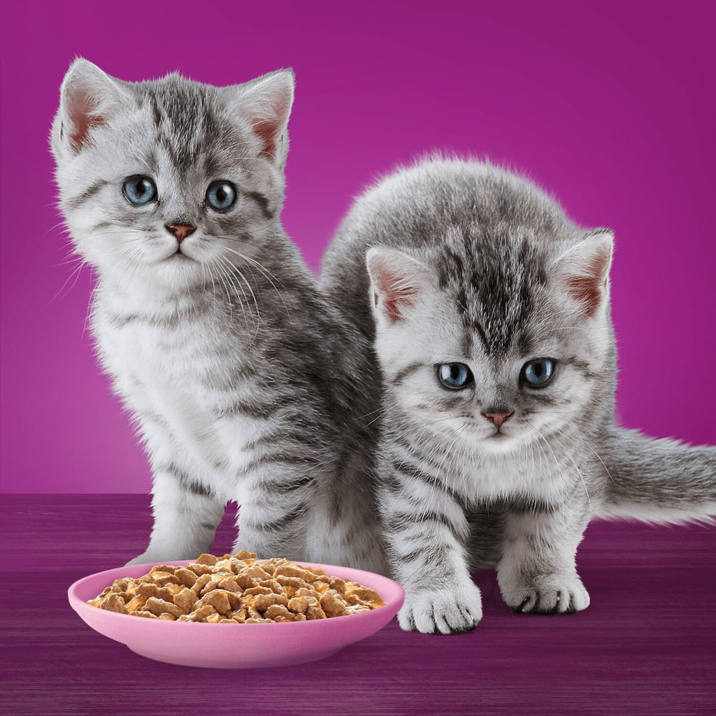 120 x 85g Whiskas Kitten Poultry Feasts Mixed Wet Cat Food Pouches in Jelly