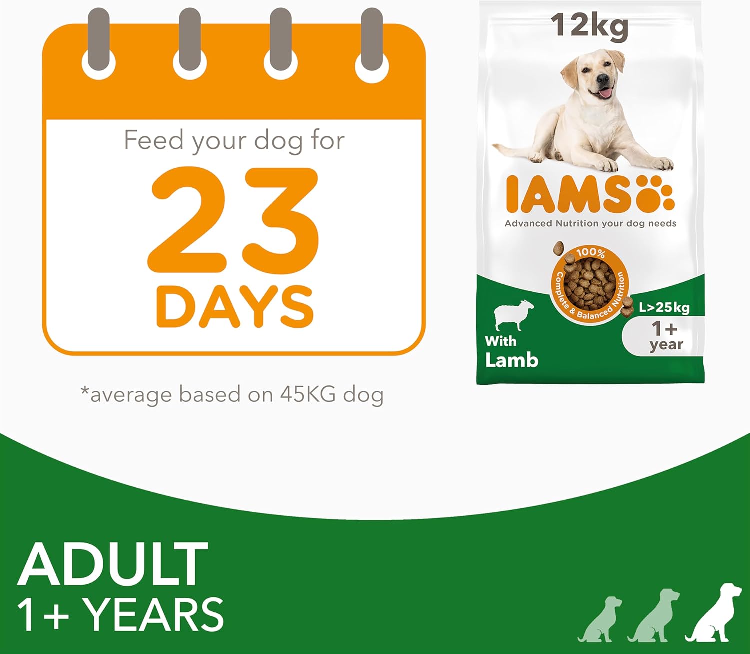 IAMS Adult Large Complete Dry Dog Food Lamb 12kg - With DentalCare System