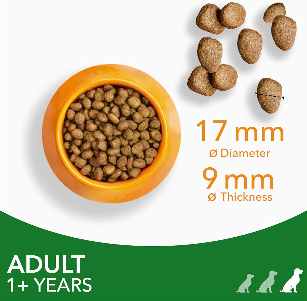 IAMS Adult Large Complete Dry Dog Food Lamb 12kg - With DentalCare System