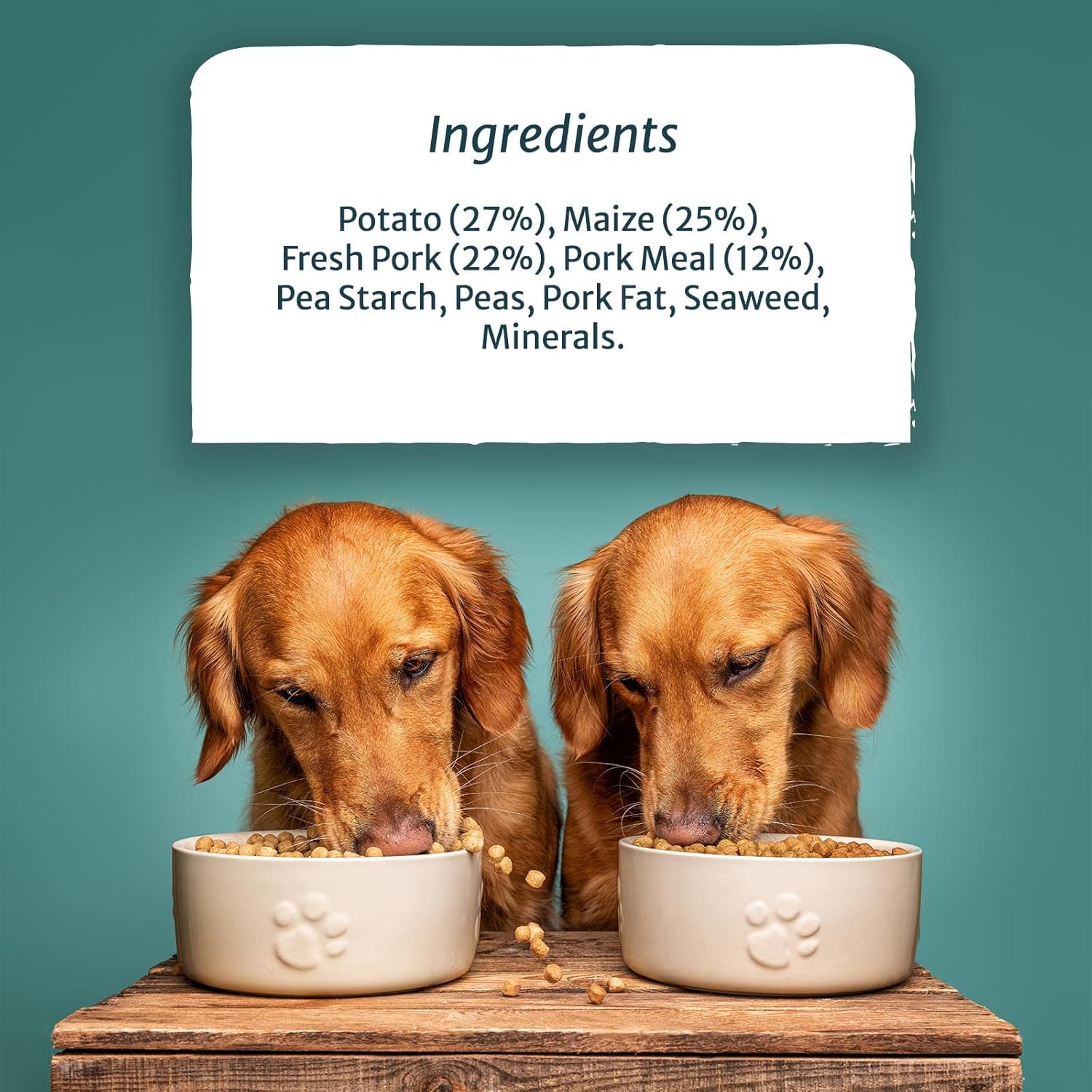 Burns Pet Nutrition Hypoallergenic Complete Dry Dog Food Adult and Senior Dog Sensitive with Pork and Potato 12 kg