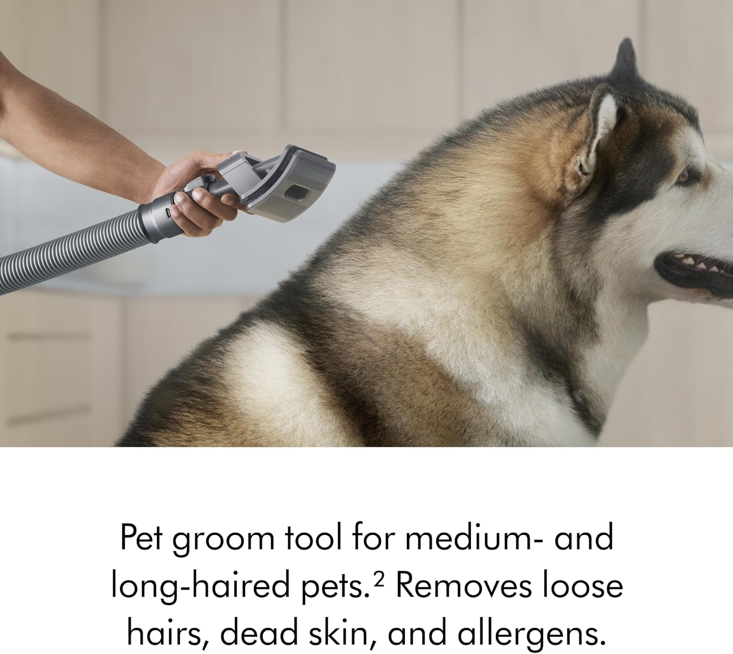 Dyson Ball Animal Total Clean Upright Vacuum, Corded, 290AW, Self-Adjusting