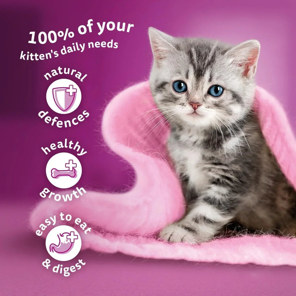 120 x 85g Whiskas Kitten Poultry Feasts Mixed Wet Cat Food Pouches in Jelly