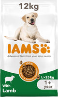 IAMS Adult Large Complete Dry Dog Food Lamb 12kg - With DentalCare System