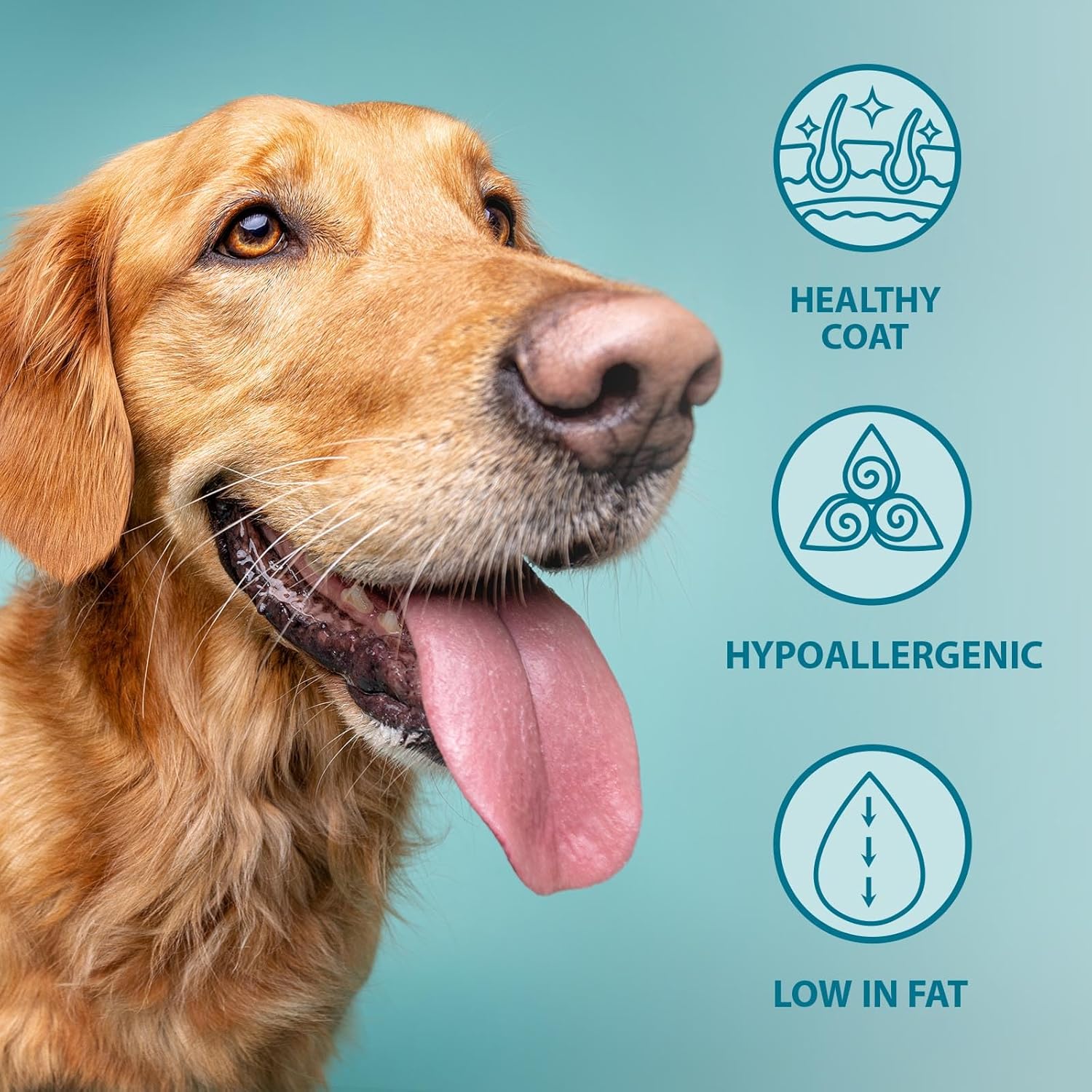 Burns Pet Nutrition Hypoallergenic Complete Dry Dog Food Adult and Senior Dog Original Lamb and Brown Rice 12 kg
