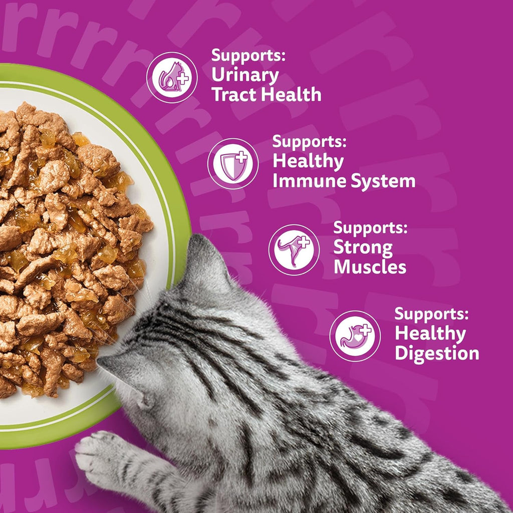 WHISKAS Adult Wet Cat Food in Jelly 84x85g Mixed Menu