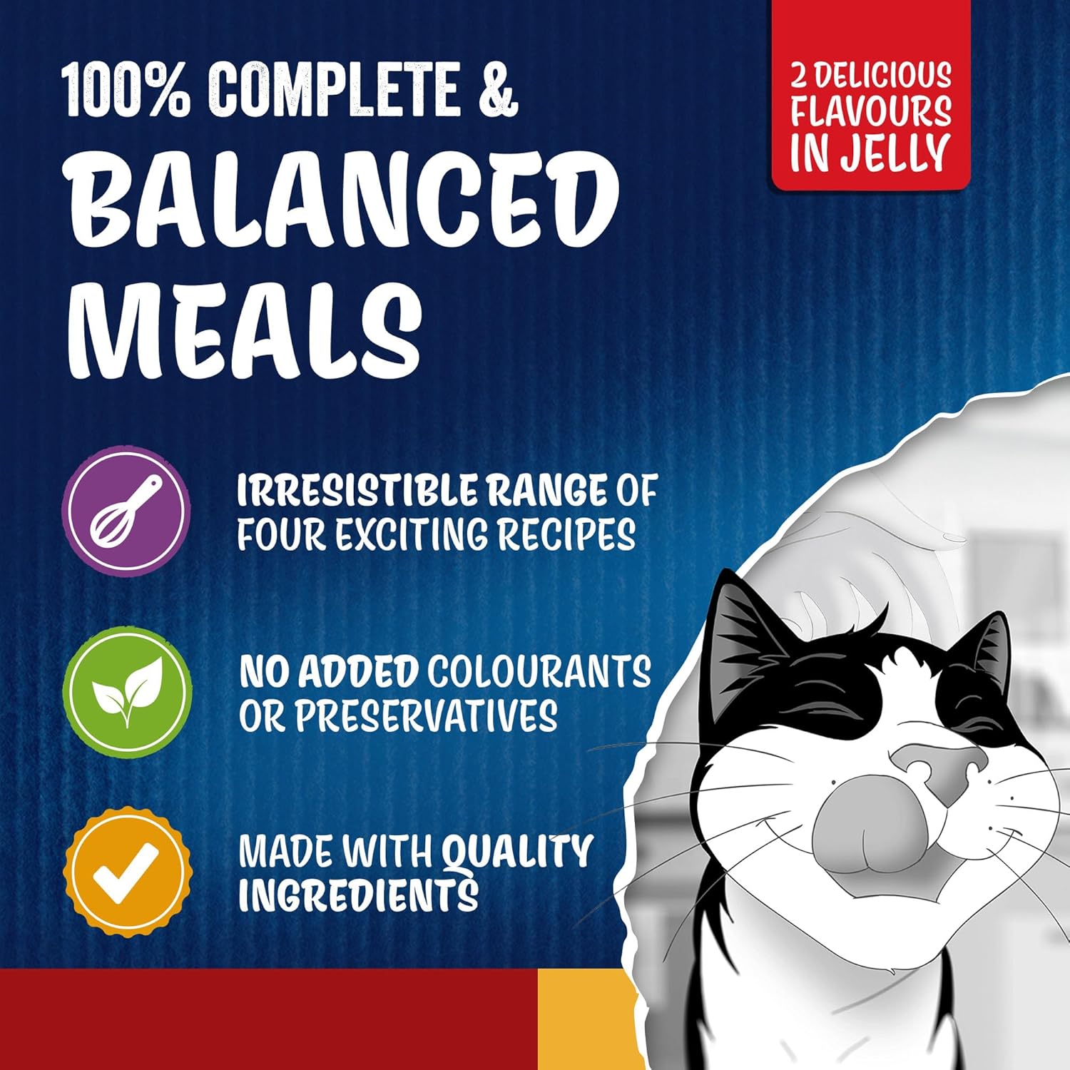 FELIX Doubly Delicious Countryside Selection in Jelly Wet Cat Food 40x85g