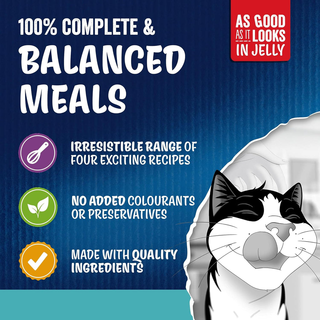 FELIX As Good As it Looks Ocean Feasts Wet Cat Food 40x85g