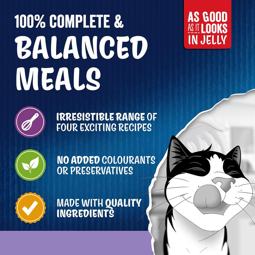 FELIX As Good As it Looks Kitten Mixed Selection in Jelly Wet Cat Food 40x85g
