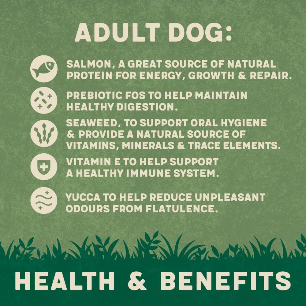 Harringtons Complete Dry Adult Dog Food Salmon & Potato 12kg - Made with All Natural Ingredients