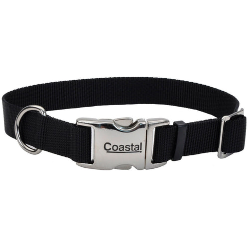 Black dog collar with a silver buckle on a white background