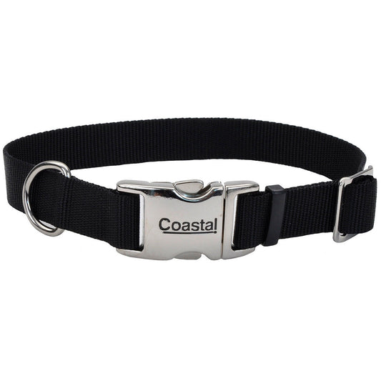 Black dog collar with a silver buckle on a white background