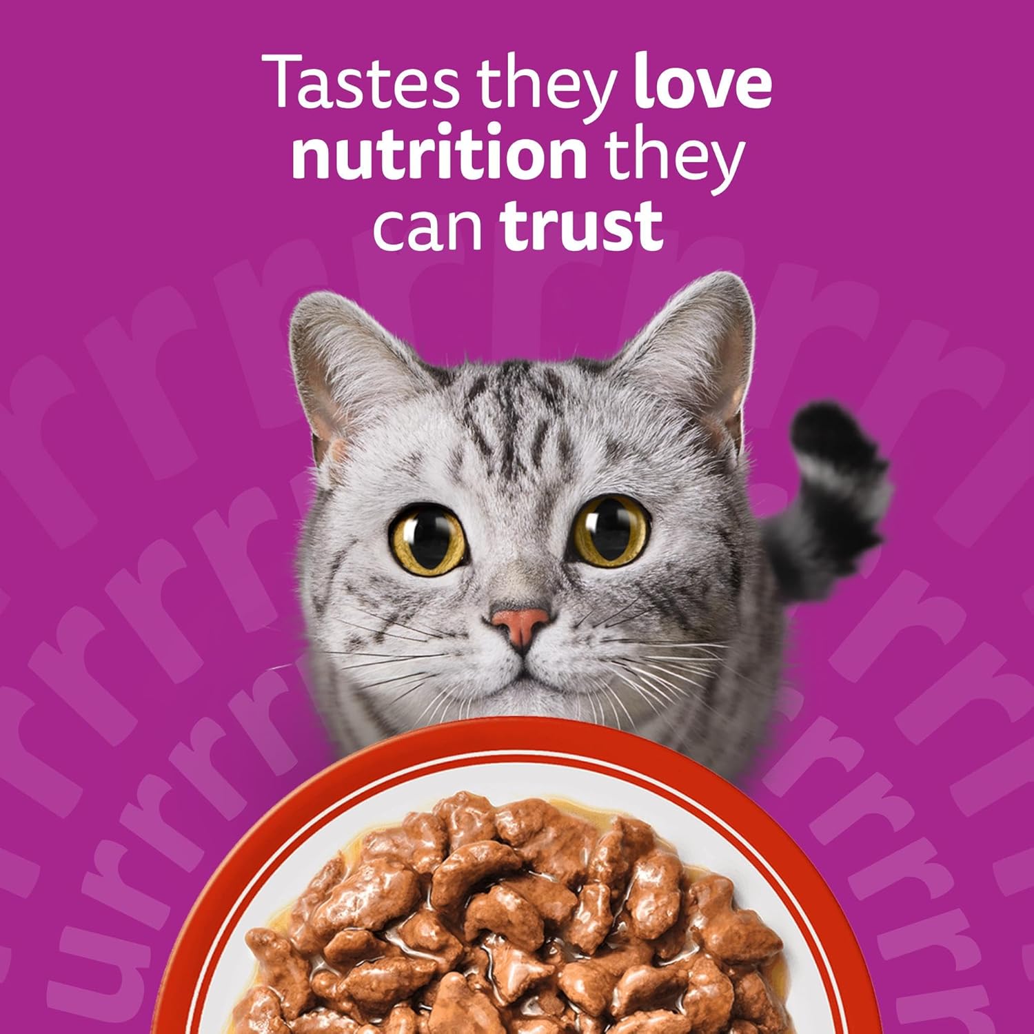 whiskas 1+ Adult Classic Selection in Gravy 84 Pouches, Adult Wet Cat Food, Megapack (84 x 85 g)
